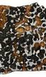 pallasite meteorite