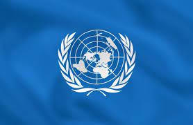 international organization