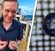 alien objects